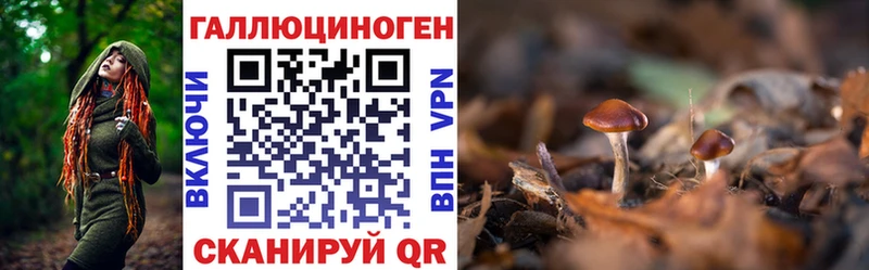 где найти наркотики  Бакал  Галлюциногенные грибы ЛСД 
